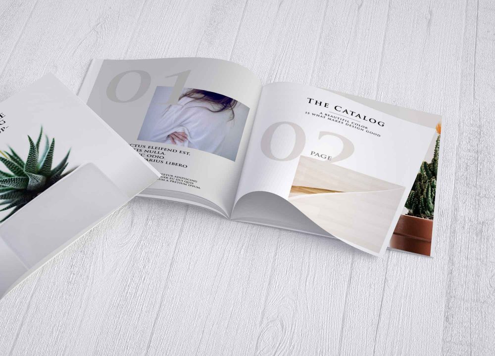 Catalogue 02